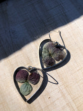 Load image into Gallery viewer, Resin earrings with dried hydrangea flowers in a silver heart frame
