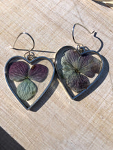 Load image into Gallery viewer, Resin earrings with dried hydrangea flowers in a silver heart frame
