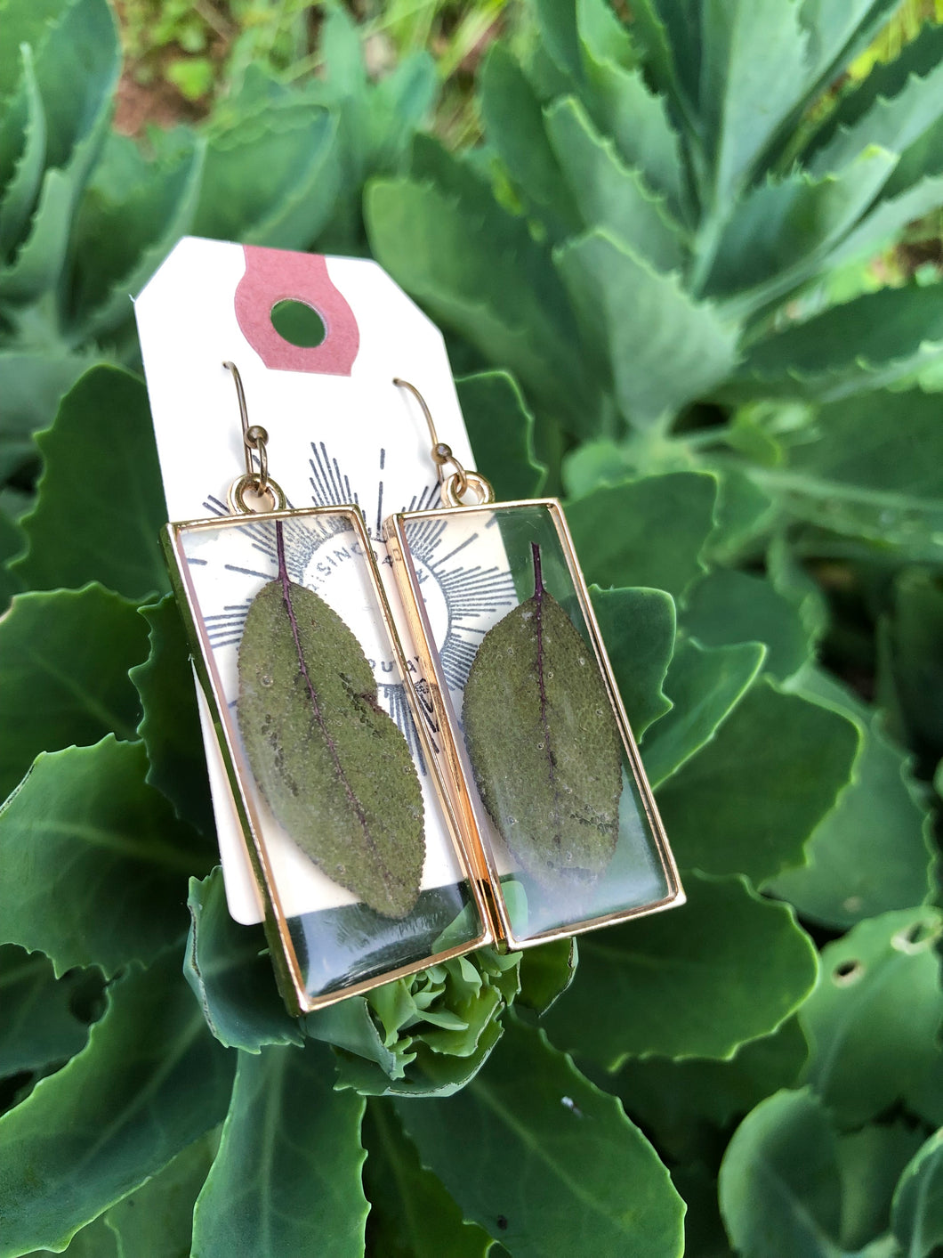 resin purple sage earrings