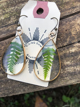 Load image into Gallery viewer, Resin earrings with dried ferns in a gold teardrop frame
