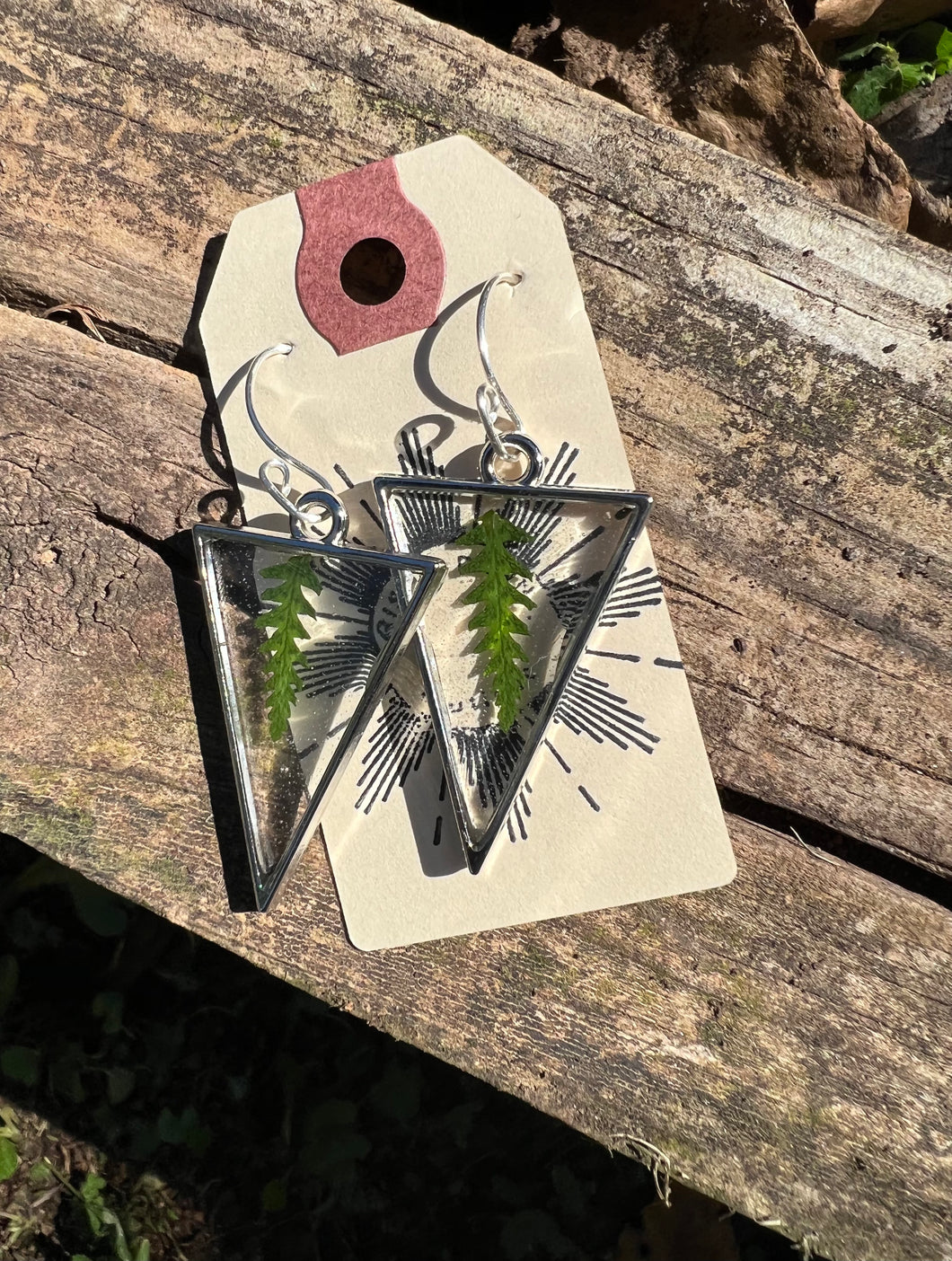 Resin earrings with dried ferns in a silver triangle frame