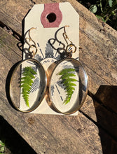 Load image into Gallery viewer, Resin earrings with dried ferns in gold oval frame
