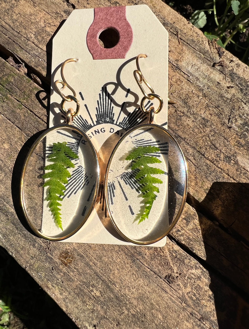 Resin earrings with dried ferns in gold oval frame