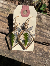 Load image into Gallery viewer, Resin earrings with dried ferns in gold diamond frame
