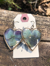 Load image into Gallery viewer, Resin earrings with dried hydrangea flowers in a gold heart frame
