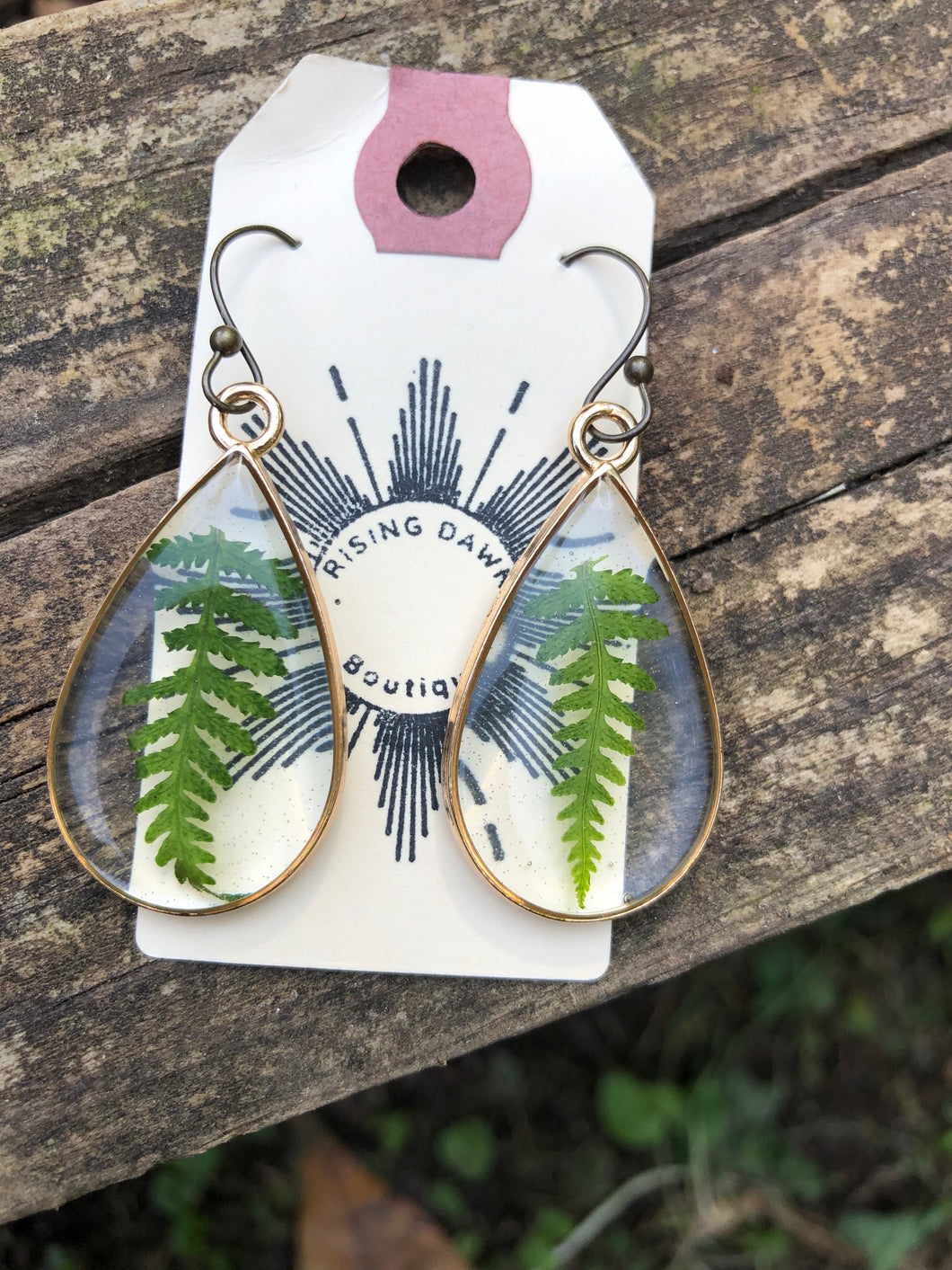 Resin earrings with dried ferns in a gold teardrop frame