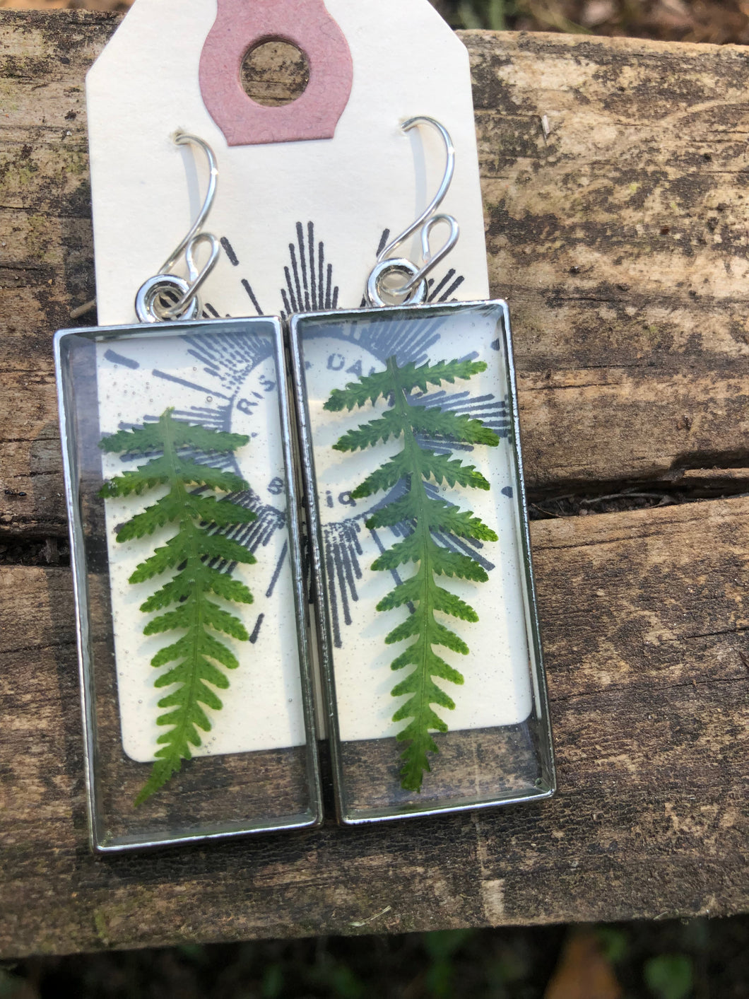 Resin earrings with dried ferns in a silver frame