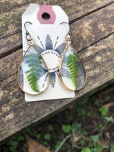 Load image into Gallery viewer, Resin earrings with dried ferns in a gold teardrop frame
