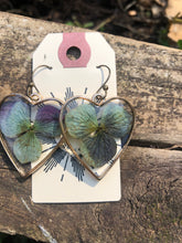 Load image into Gallery viewer, Resin earrings with dried hydrangea flowers in a gold heart frame
