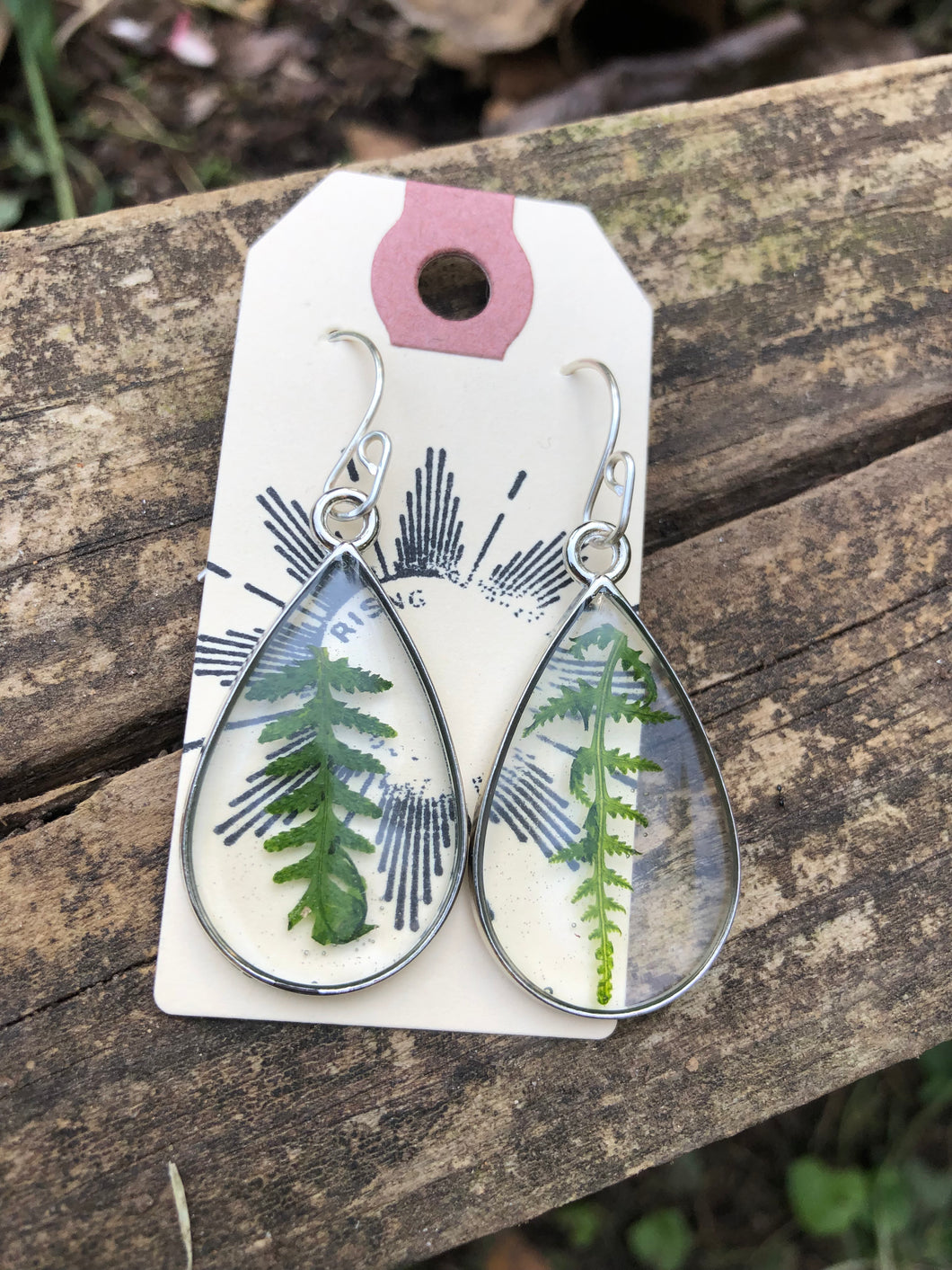 Resin earrings with dried ferns in a silver frame