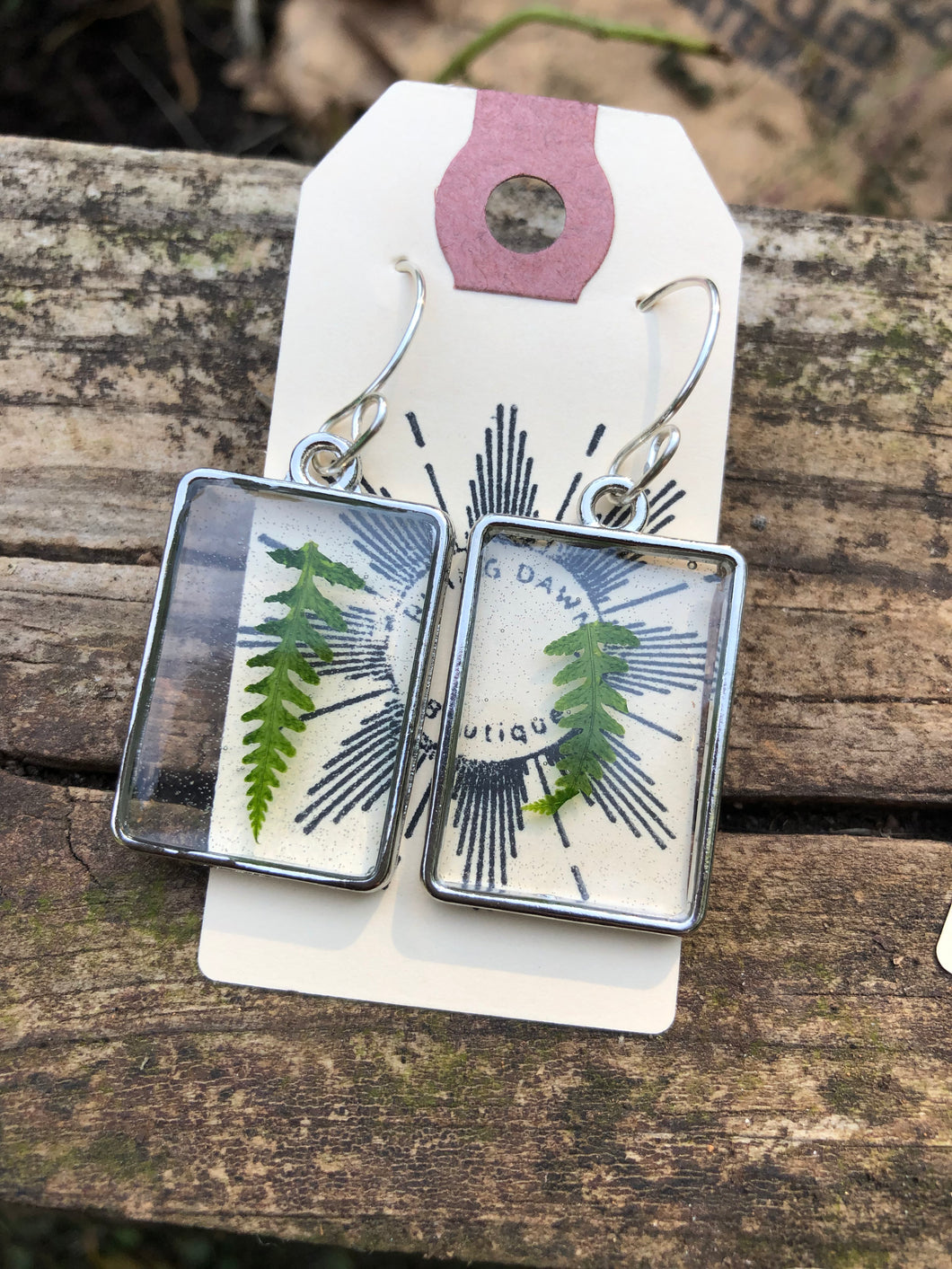 Resin earrings with dried ferns in a silver rectangle frame