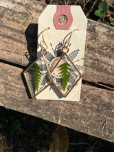 Load image into Gallery viewer, Resin earrings with dried ferns in gold diamond frame
