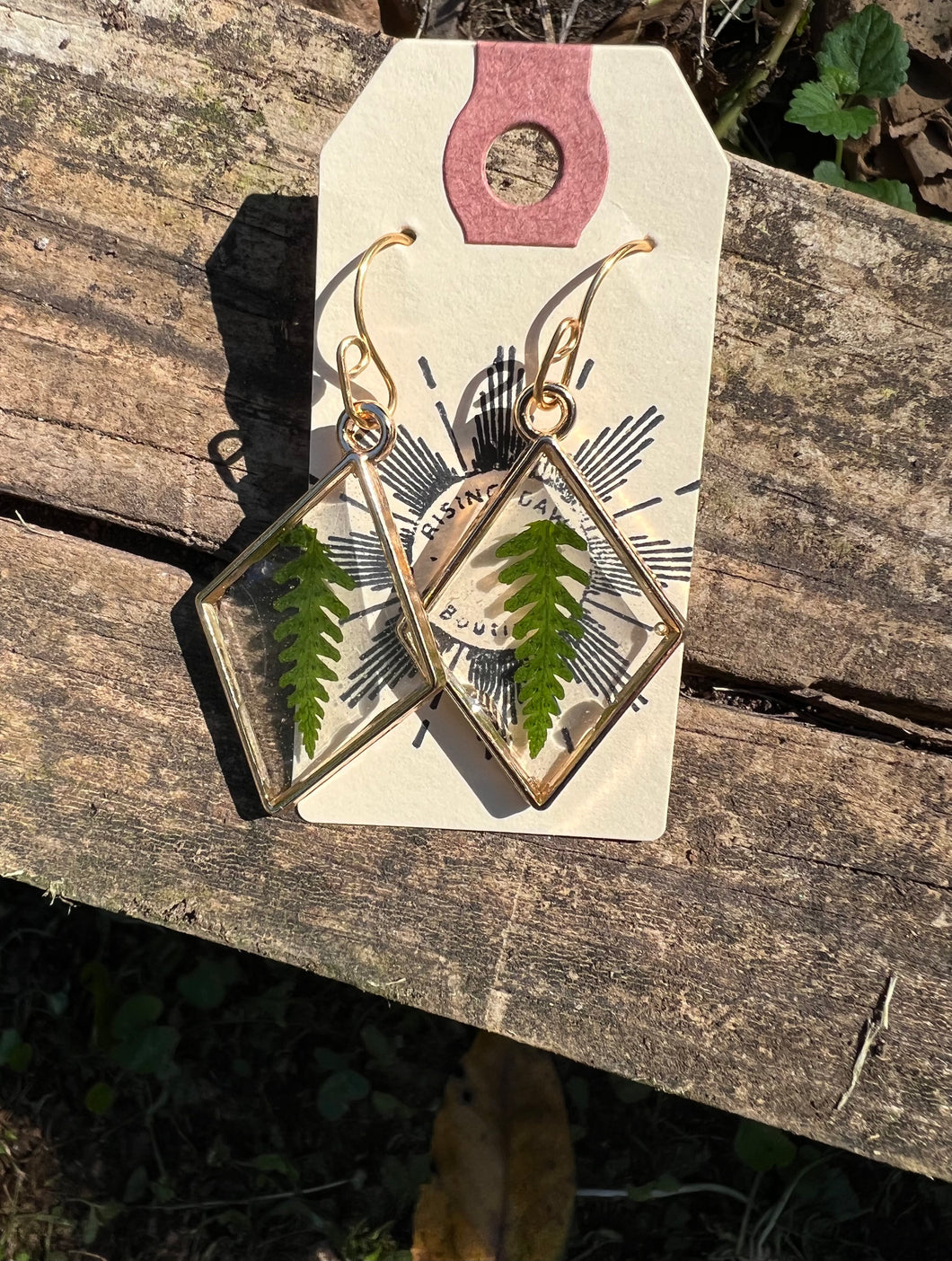 Resin earrings with dried ferns in gold diamond frame