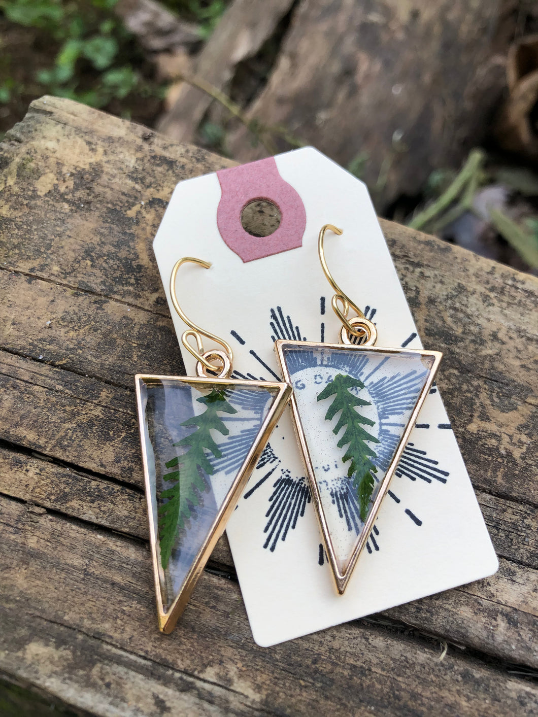 Resin earrings with dried ferns in a gold triangle frame