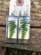 Load image into Gallery viewer, Resin earrings with dried ferns in a silver frame
